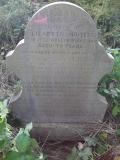 image of grave number 435293